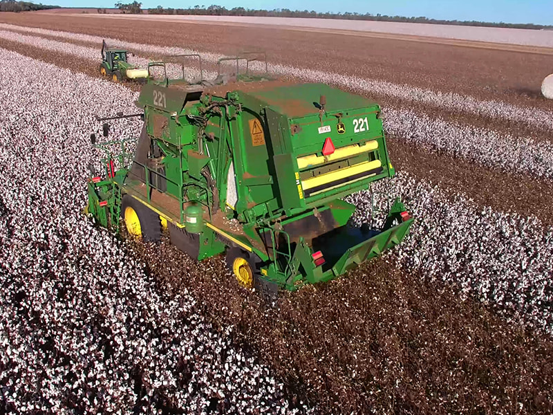 采棉机